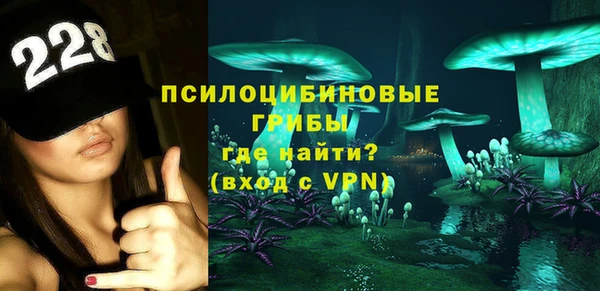 винт Богородицк