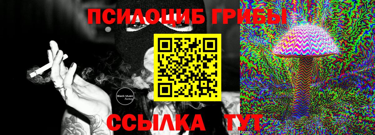 Псилоцибиновые грибы GOLDEN TEACHER Борисоглебск