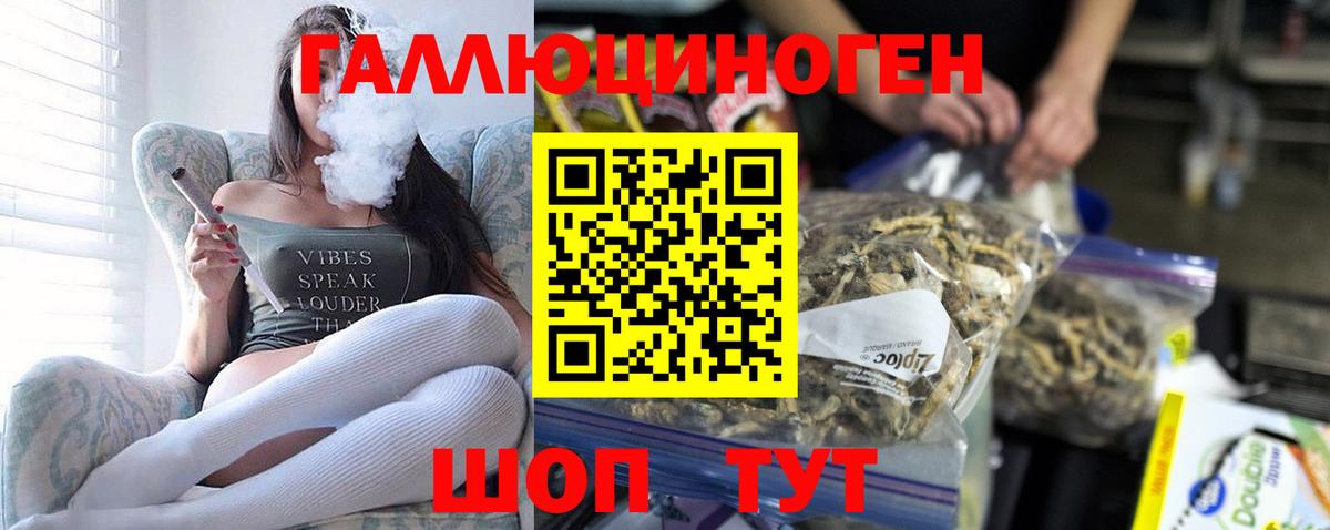 Галлюциногенные грибы Psilocybine cubensis  Галлюциногенные грибы Psilocybe  Борисоглебск  Вход с VPN 